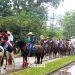 Villavicencio cabalga: más de 2,000 jinetes celebran la tradición llanera